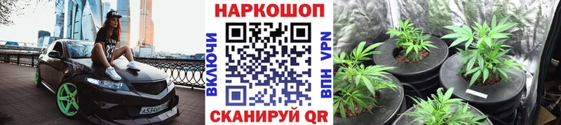 Купить наркотики Щёлково COCAIN  СК  Конопля  МЕФ 